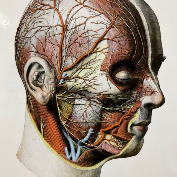 Cure My Migraine business image in Corona, California