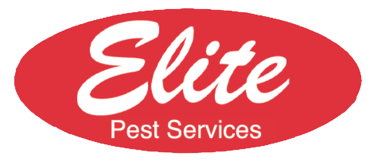 Elite Pest Services business image in Land O' Lakes, Florida